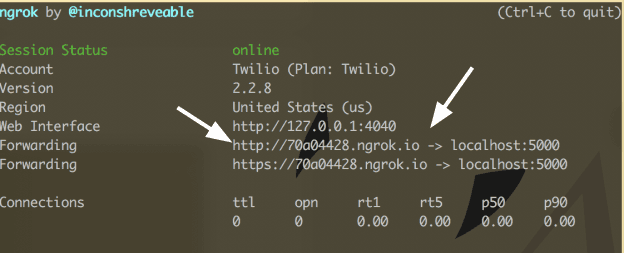 Ngrok session showing status online with forwarding URLs to localhost:5000.