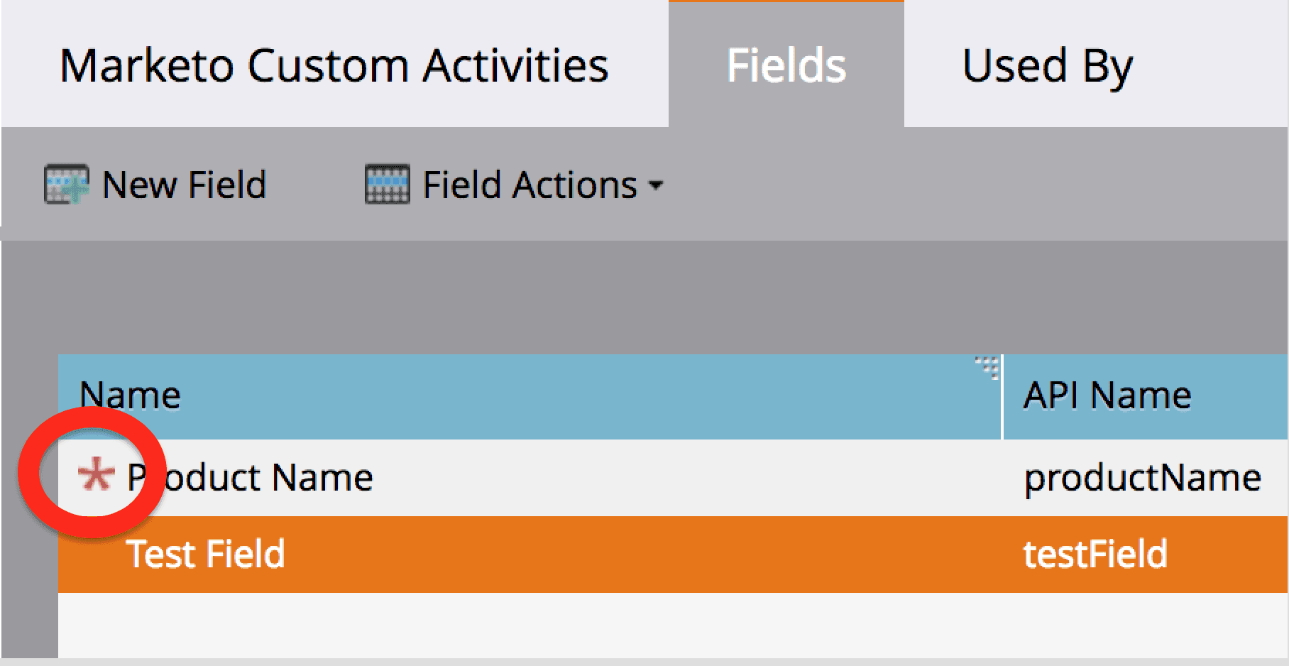 Marketo Fields tab showing Product Name with API name productName.