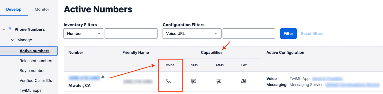 Dashboard showing active phone numbers with voice capability filter applied.